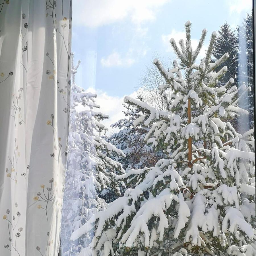 Hiona Apartment Kopaonik Exterior photo